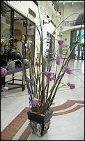 www.floristic.ru - .   .