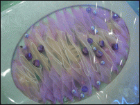     
: .gif
: 770
:	116.2 
ID:	8949