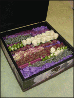     
: .gif
: 905
:	128.5 
ID:	8954