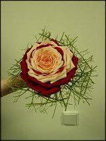 www.floristic.ru - . 