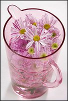 www.floristic.ru - . "Just Chrysanthemum"  )