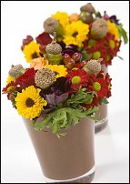 www.floristic.ru - . "Just Chrysanthemum"  )