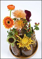 www.floristic.ru - . "Just Chrysanthemum"  )