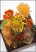 www.floristic.ru - . "Just Chrysanthemum"  )