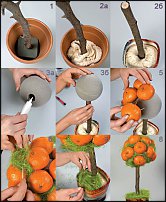 www.floristic.ru - . Step-by-step