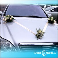 www.floristic.ru - .  .