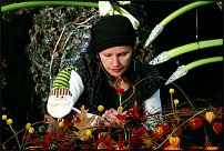 www.floristic.ru - .  ,  ."   " "7" 19+21.11.2008
