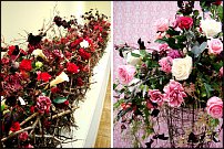 www.floristic.ru - .     -   !