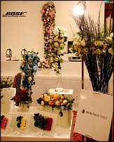 www.floristic.ru - .     -   !