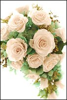 www.floristic.ru - .     -   !