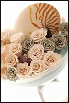 www.floristic.ru - .     -   !