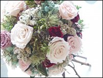 www.floristic.ru - .     -   !