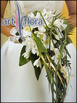 www.floristic.ru - .  .