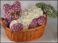 www.floristic.ru - .   ....