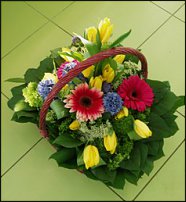 www.floristic.ru - .       8 !!!