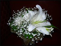 www.floristic.ru - .    