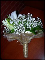 www.floristic.ru - .    