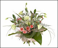 www.floristic.ru - .  .   ?