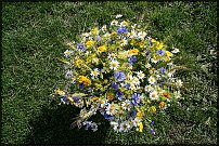     
: 99686685.jpg
: 2489
:	227.4 
ID:	9697