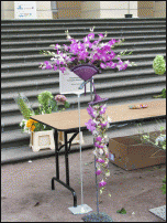 www.floristic.ru - .  