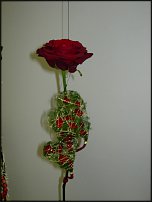 www.floristic.ru - .   