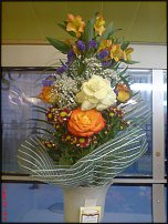 www.floristic.ru - .  .  .     23- 