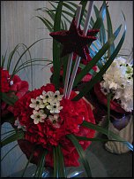 www.floristic.ru - . -