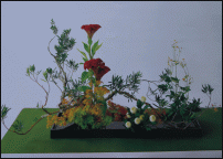     
: 11.gif
: 329
:	128.1 
ID:	9939