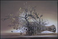     
: -12.gif
: 439
:	152.0 
ID:	9940