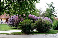 www.floristic.ru - Флористика. БОЛТАЛКА :)