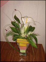 www.floristic.ru - . -