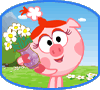   florin