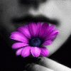   MariyaL