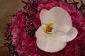   Flower boutique