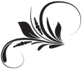   Asantstudio