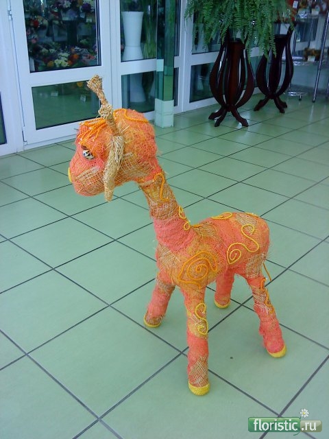 DSC00805